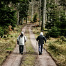 Zwei Personen spaieren auf einem Feldweg im Wald