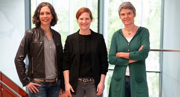 Das Team der Gleichstellung stellt sich vor (v.l.n.r.): Dr.'in Tina Foitschik, Dr.'in Bianca Biallas, Dr.'in Claudia Combrink